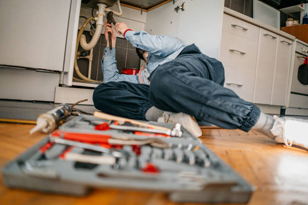 Best Commercial Plumbing Services  in Ogden Dunes, IN
