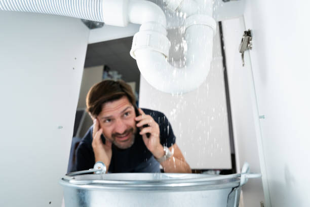 Best Faucet Repair  in Ogden Dunes, IN