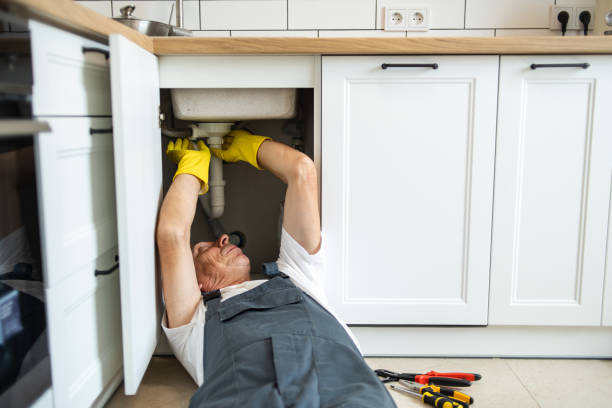 Best Plumbing Inspection Services  in Ogden Dunes, IN
