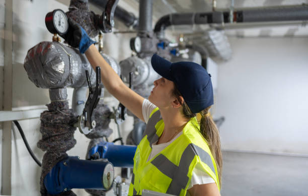 Best Plumbing Inspection Services  in Ogden Dunes, IN