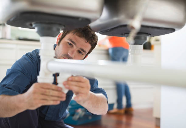 Best Clogged Drain Plumber  in Ogden Dunes, IN